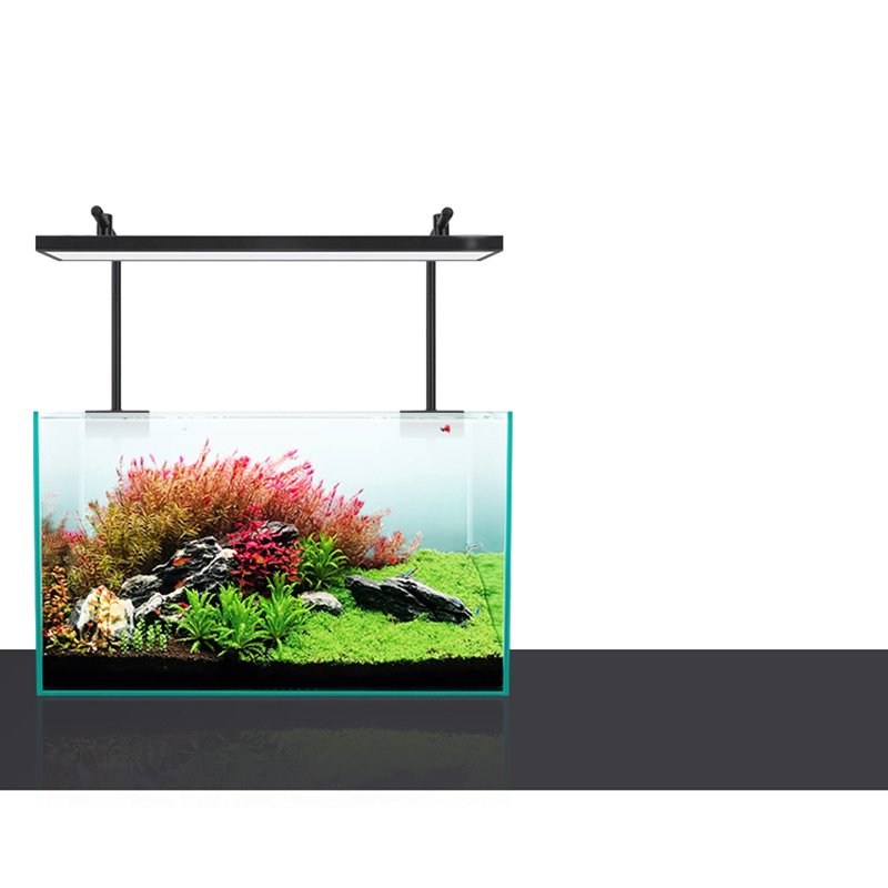 Illuminazione a LED 60 cm 80 c - Aquarium Fish Sale recensione e prezzo