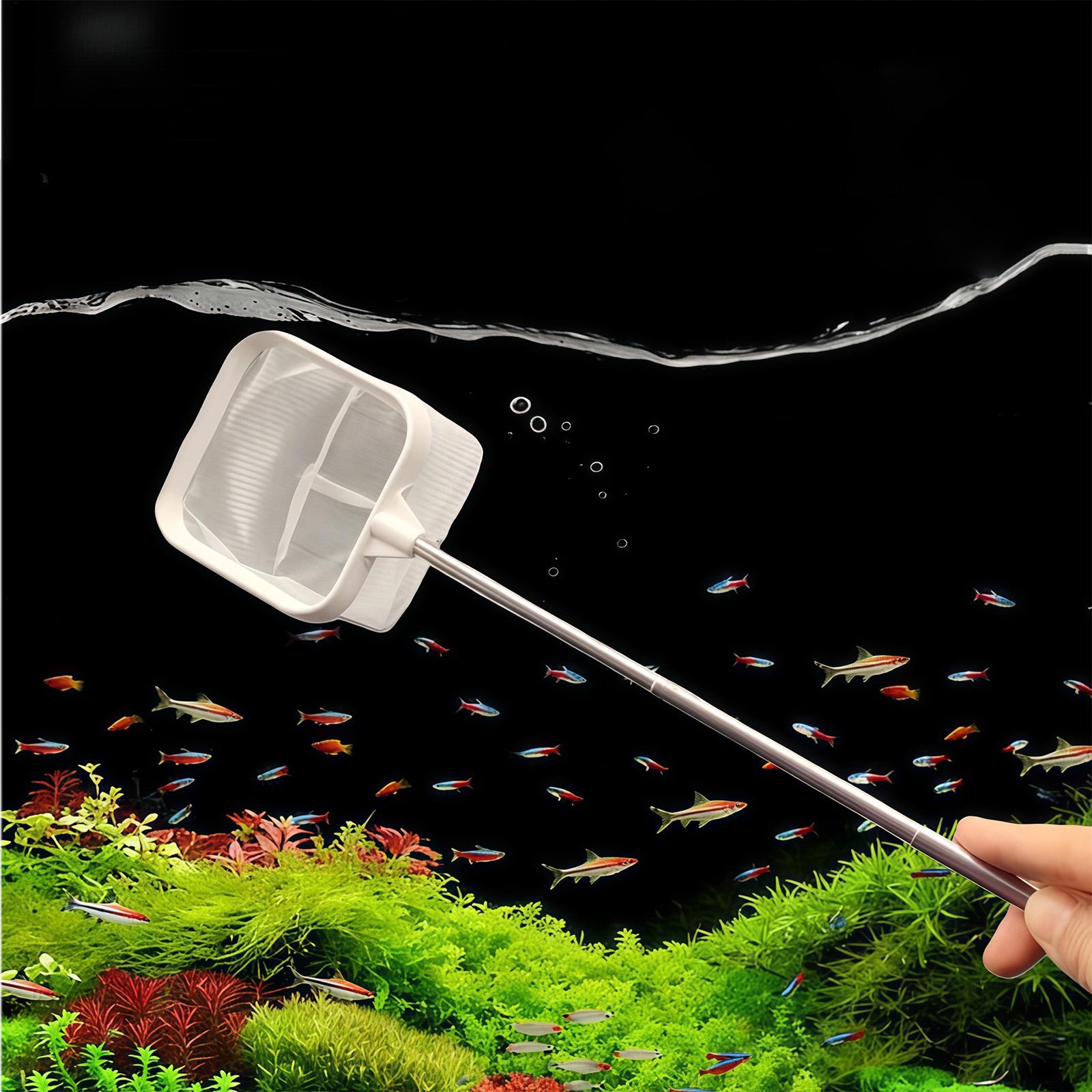 Raccoglitore di foglie per acq - Aquarium Fish Trap recensione e prezzo