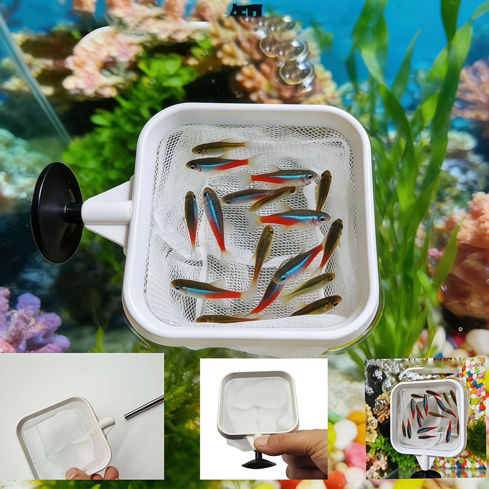Raccoglitore di foglie per acq - Aquarium Fish Trap recensione e prezzo