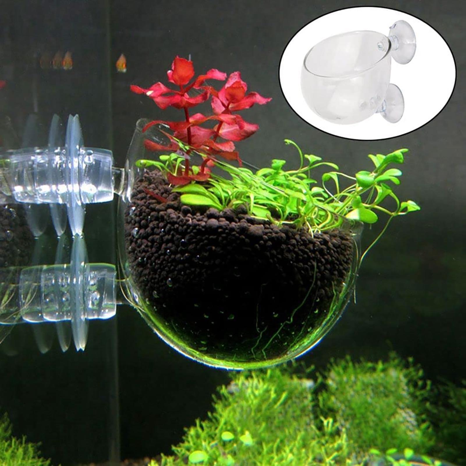 Vaso per piante acquatiche Fio - Aquarium Fish Games recensione e prezzo