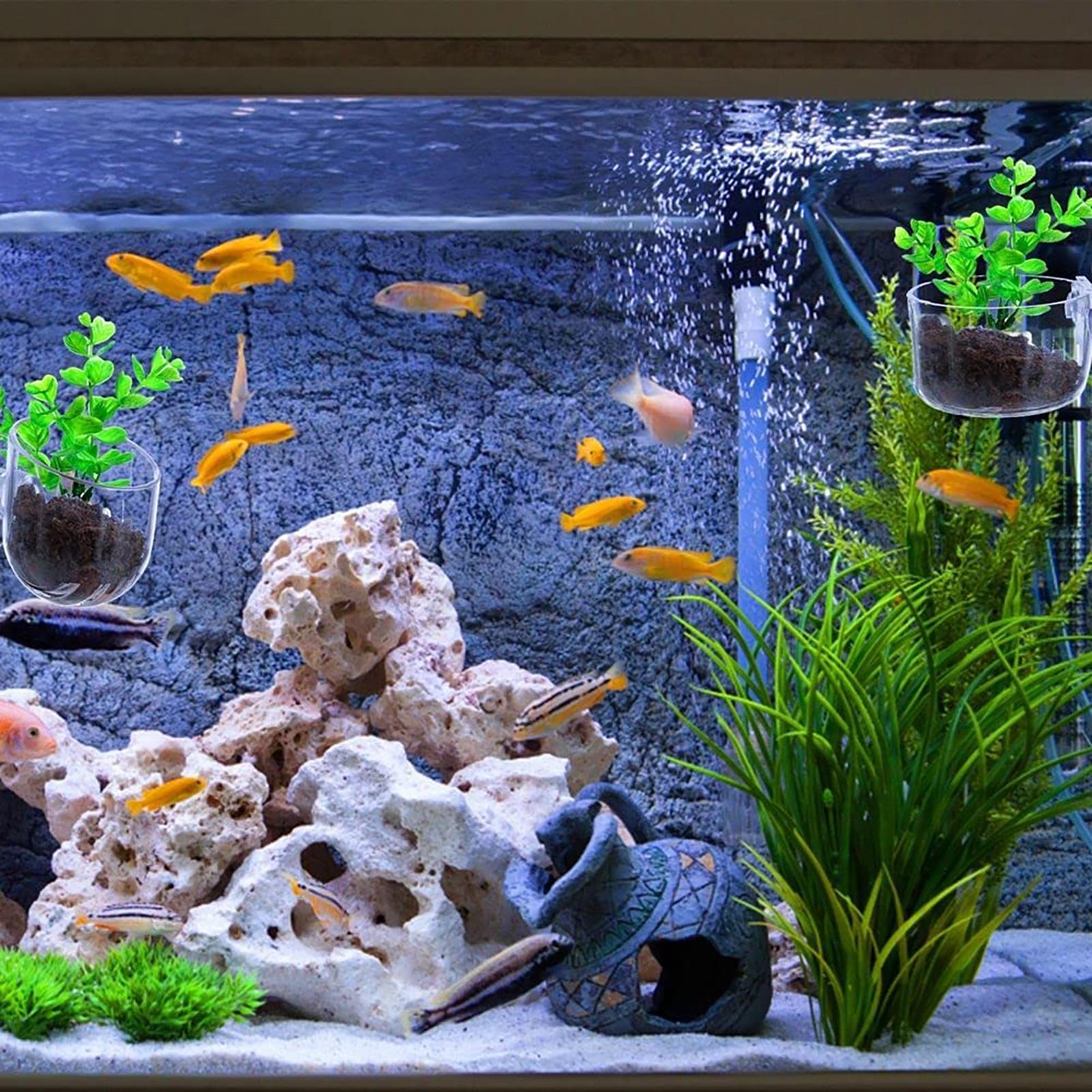 Vaso per piante acquatiche Fio - Aquarium Fish Games recensione e prezzo