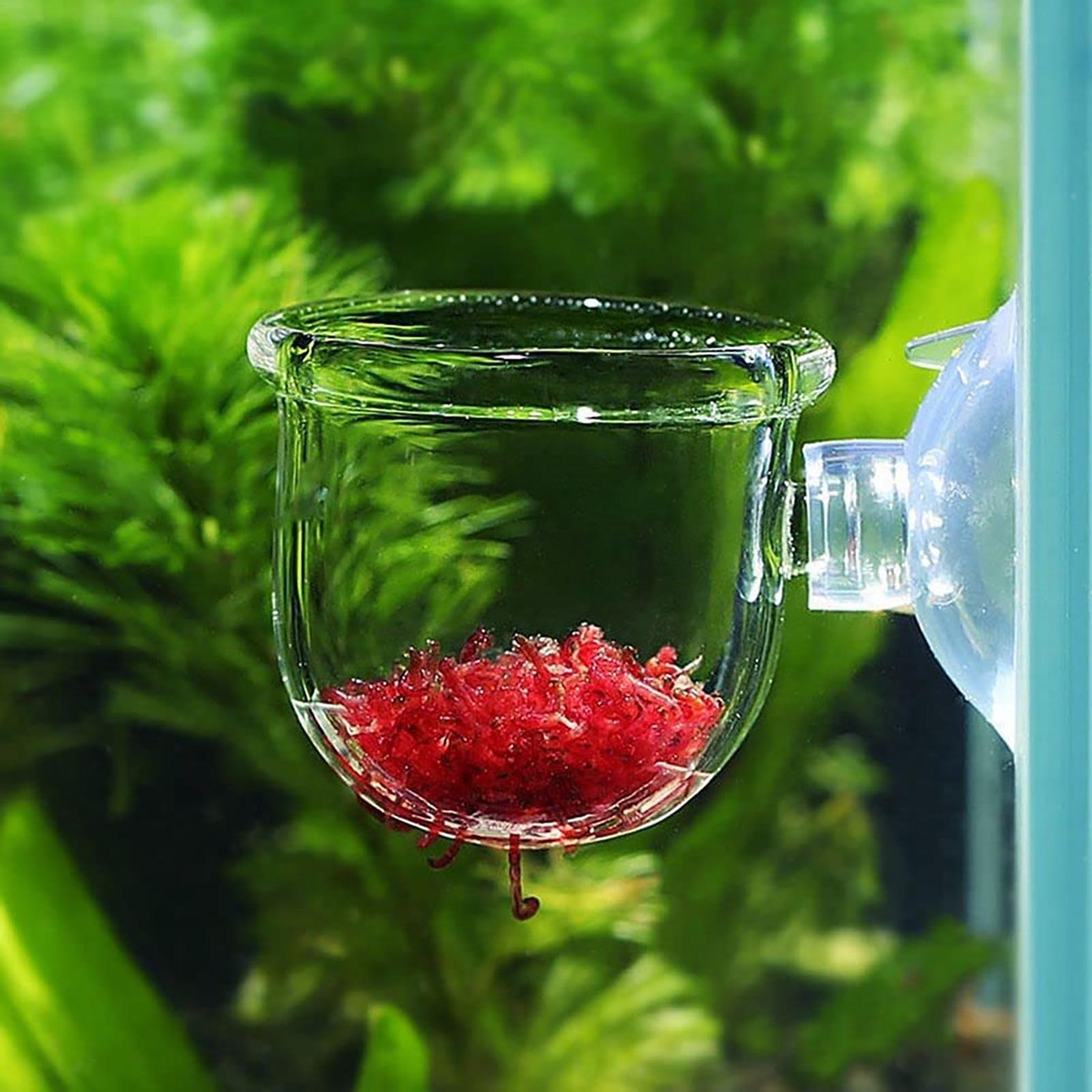 Vaso per piante acquatiche Fio - Aquarium Fish Games recensione e prezzo