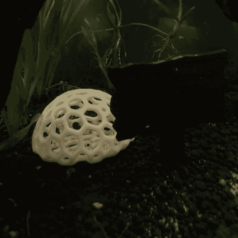 Caverna Nascondiglio per Gambe - Aquarium Fish Games recensione e prezzo