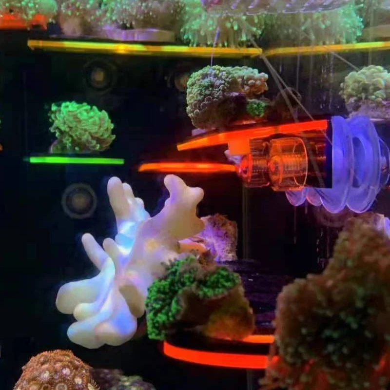 Staffe per corallo fluorescent - Aquarium Fish Marine recensione e prezzo