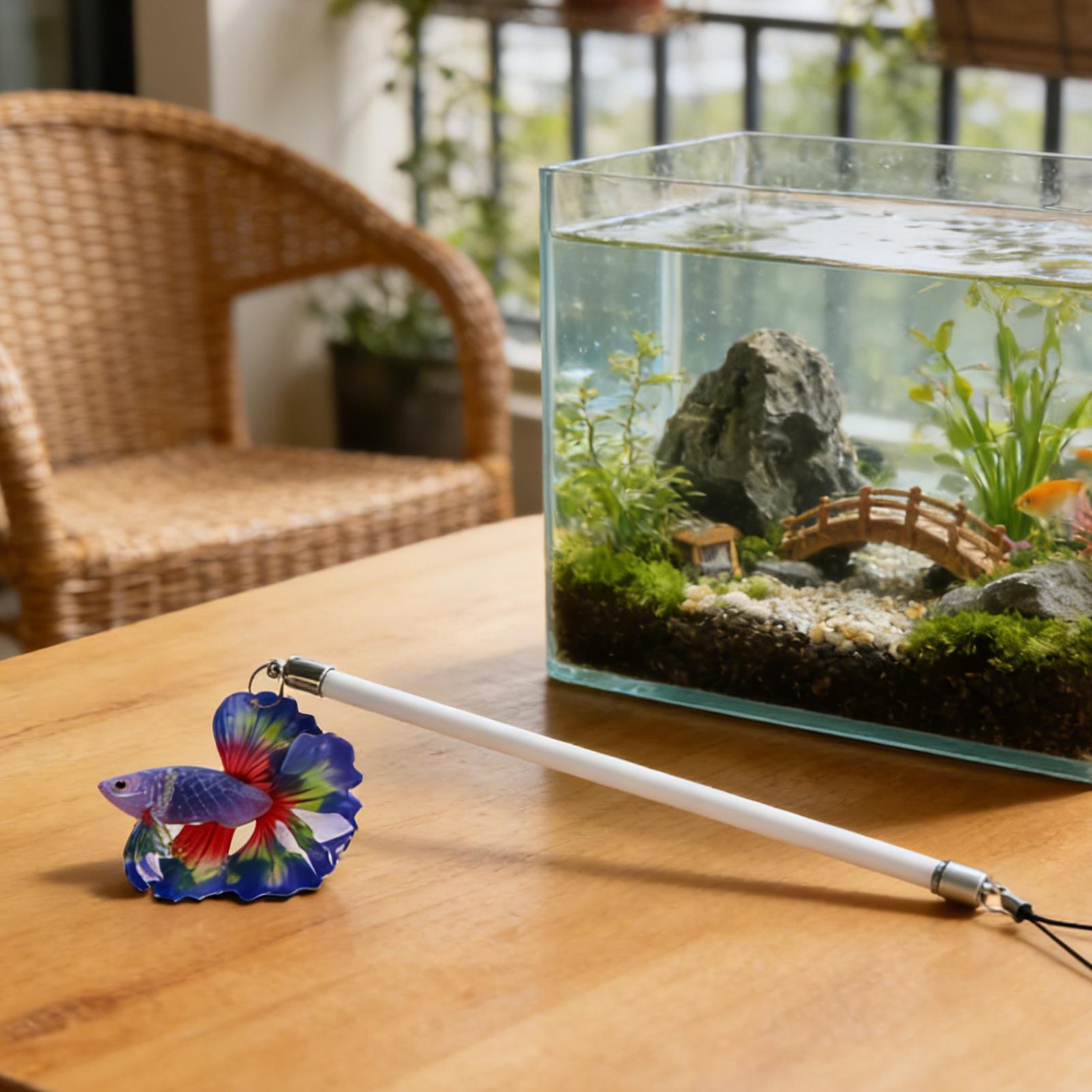 Bacchetta per l'allenamento de - Aquarium Fish For Beginners recensione e prezzo