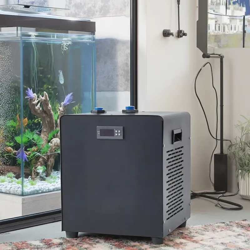 Refrigeratore per Acquario con - Aquarium Fish Cold Water recensione e prezzo