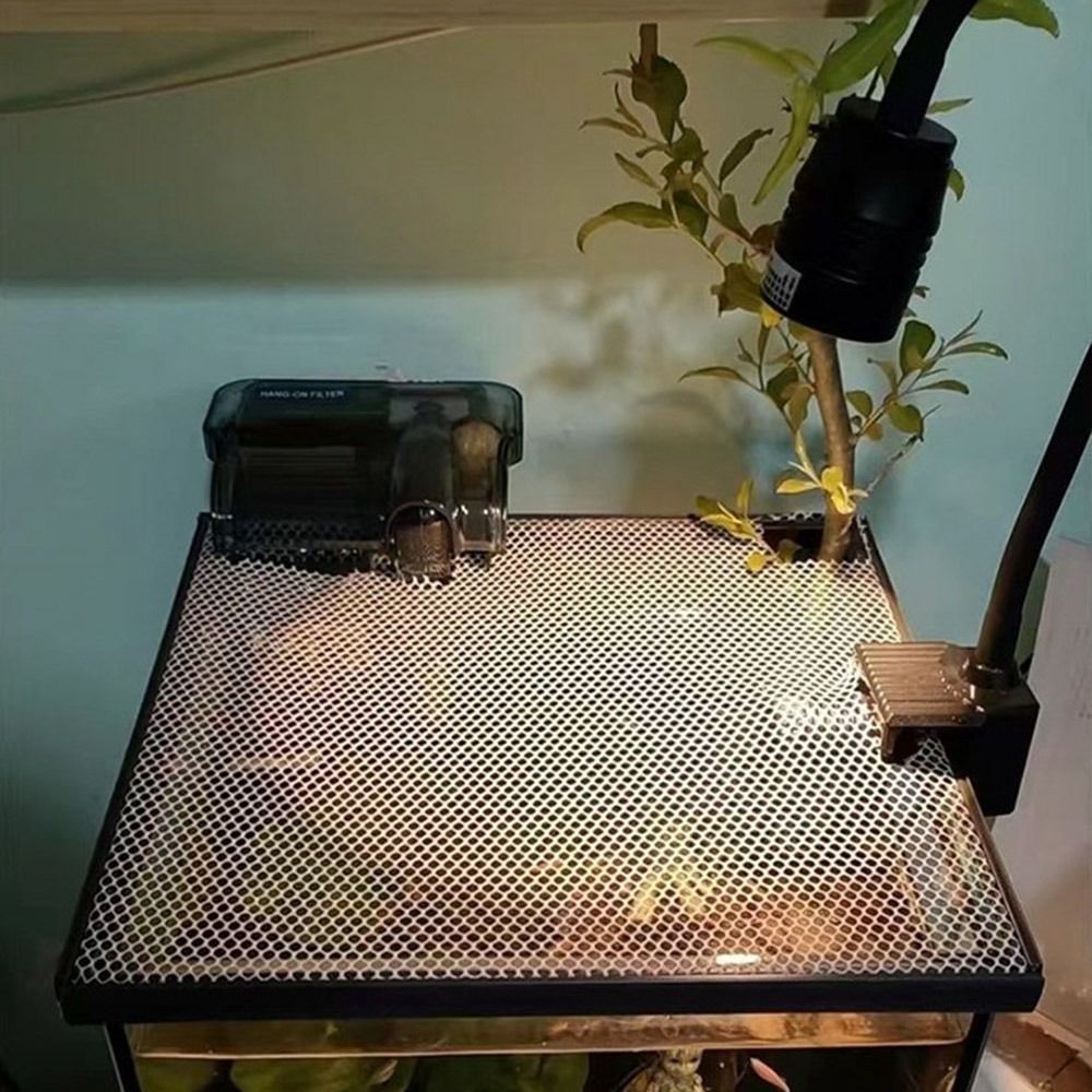Coperchio Magnetico Durevole p - Aquarium Fish Trap recensione e prezzo