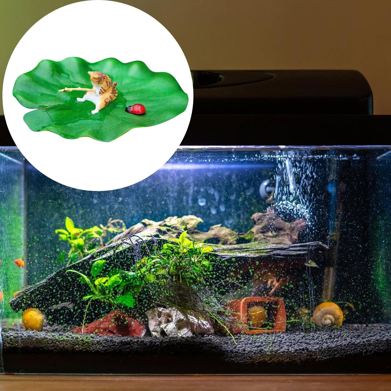 Decorazione per Acquario: Gatt - Aquarium Fish For Beginners recensione e prezzo