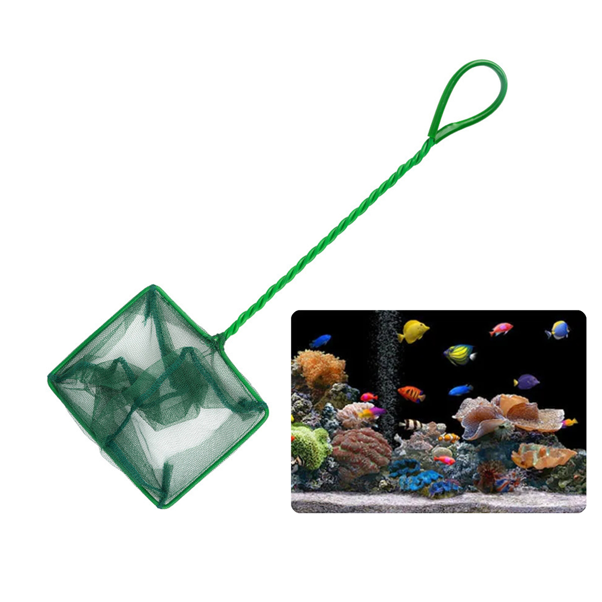 3 ~ 10 pollici portatile in ny - Cleaner Fish Aquarium recensione e prezzo