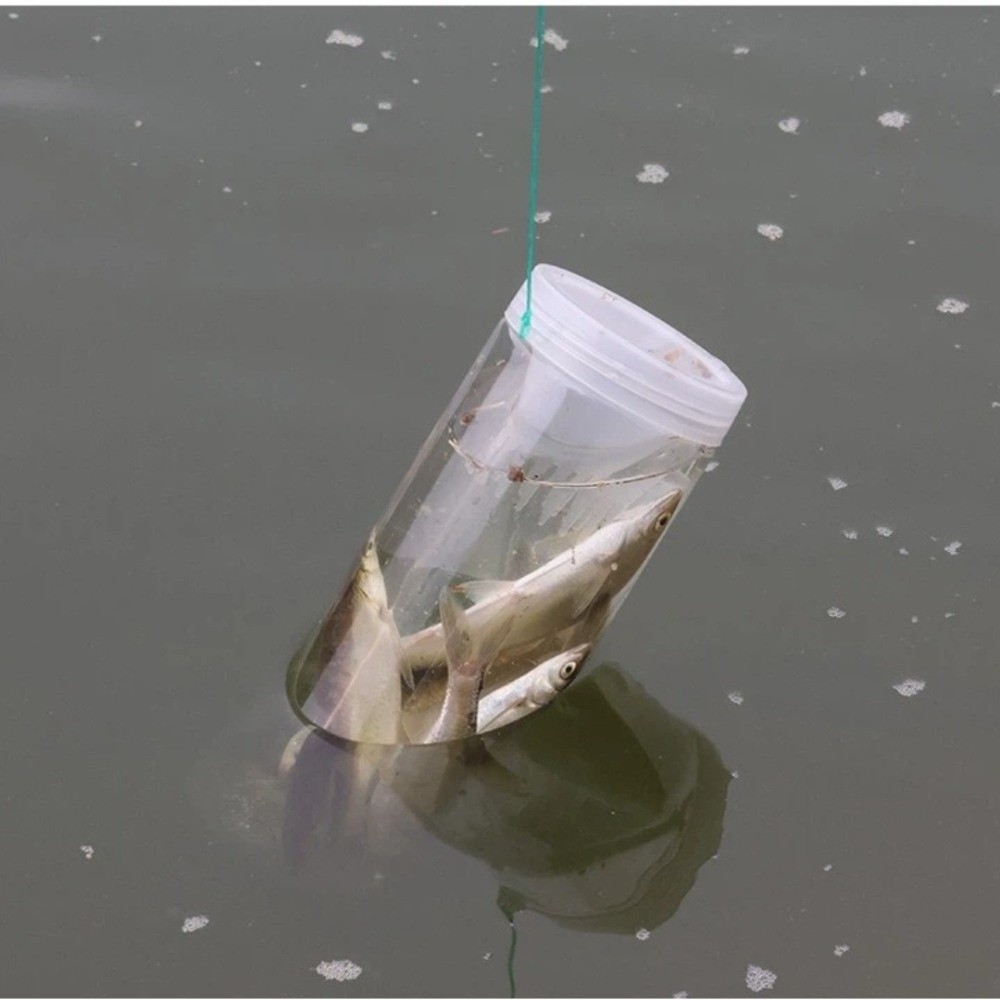 Trappola per Pesci Durevole e  - Aquarium Fish Trap recensione e prezzo