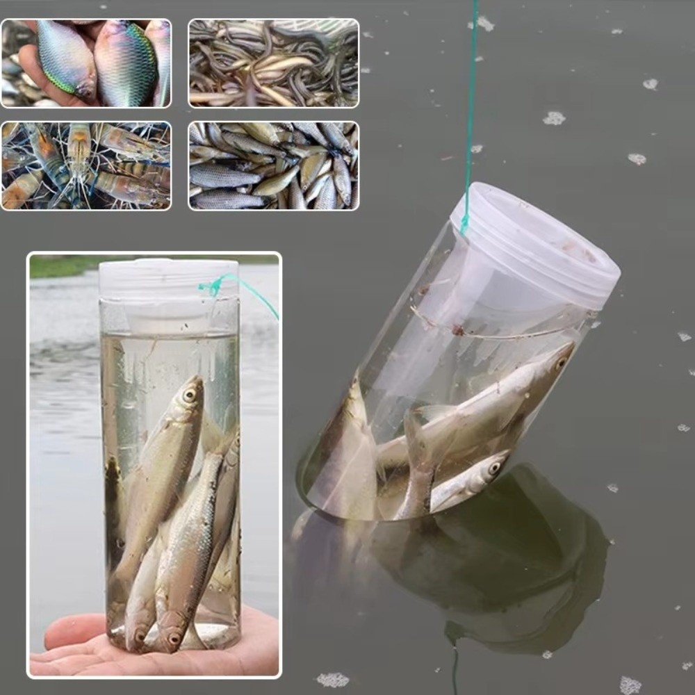Trappola per Pesci Durevole e  - Aquarium Fish Trap recensione e prezzo