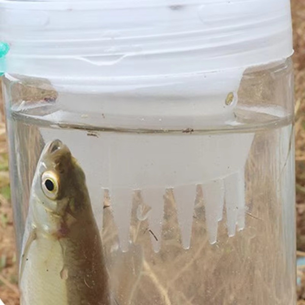 Trappola per Pesci Durevole e  - Aquarium Fish Trap recensione e prezzo