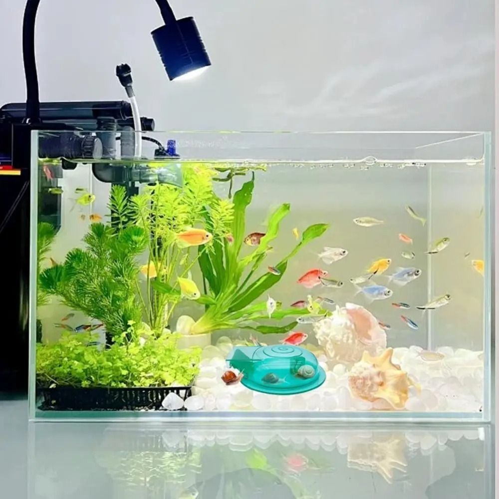 Trappola per Lumache per Acqua - Aquarium Fish Trap recensione e prezzo