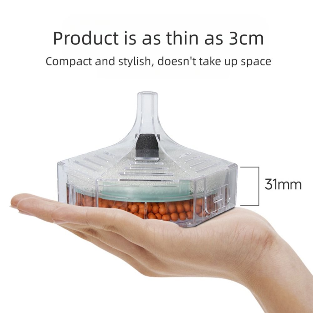 Nuovo filtro portatile per acq - Aquarium Fish For Beginners recensione e prezzo