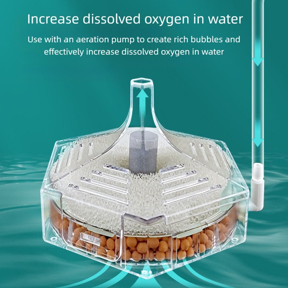 Nuovo filtro portatile per acq - Aquarium Fish For Beginners recensione e prezzo