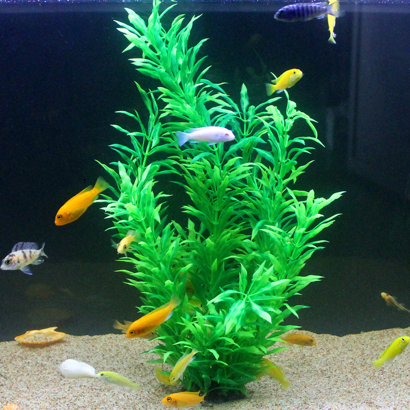 50CM Acquario artificiale Pian - Aquarium Fish Store recensione e prezzo