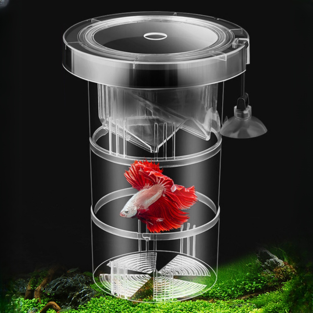 Acrilico Galleggiante Allevame - Aquarium Fish Marine recensione e prezzo