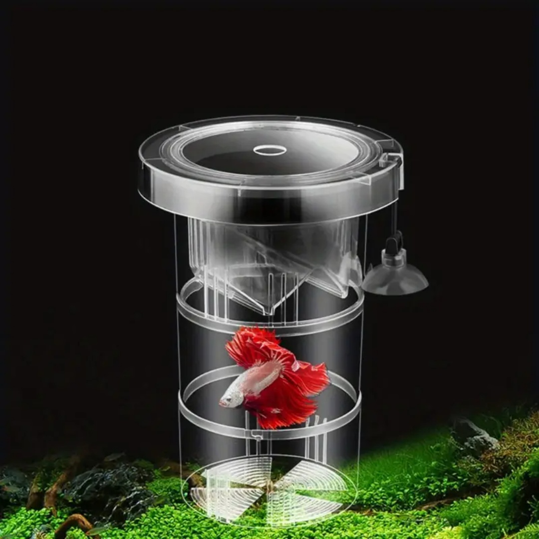 Acrilico Galleggiante Allevame - Aquarium Fish Marine recensione e prezzo