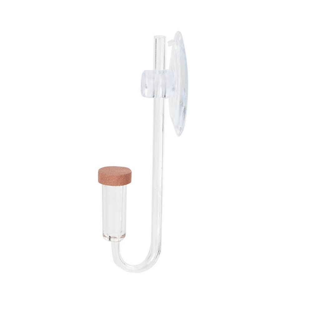 Mini acquario acrilico Pianta  - Aquarium Fish Store recensione e prezzo