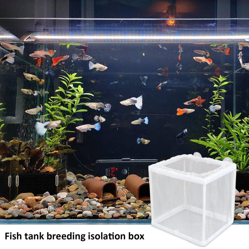 Scatola per allevamento di pes - Aquarium Fish Trap recensione e prezzo