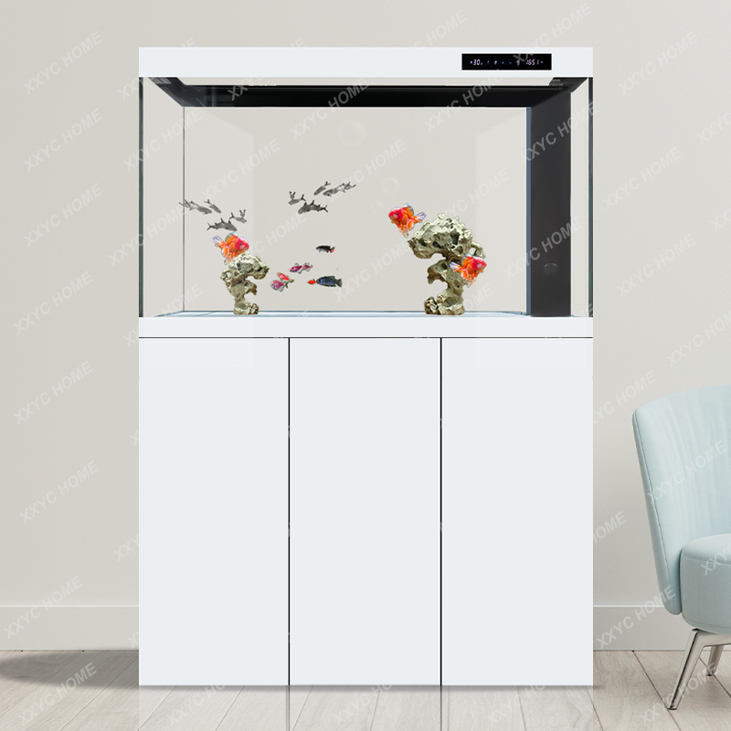 X-S Nuovo Acquario Intelligent - Xchange Aquarium Fish recensione e prezzo