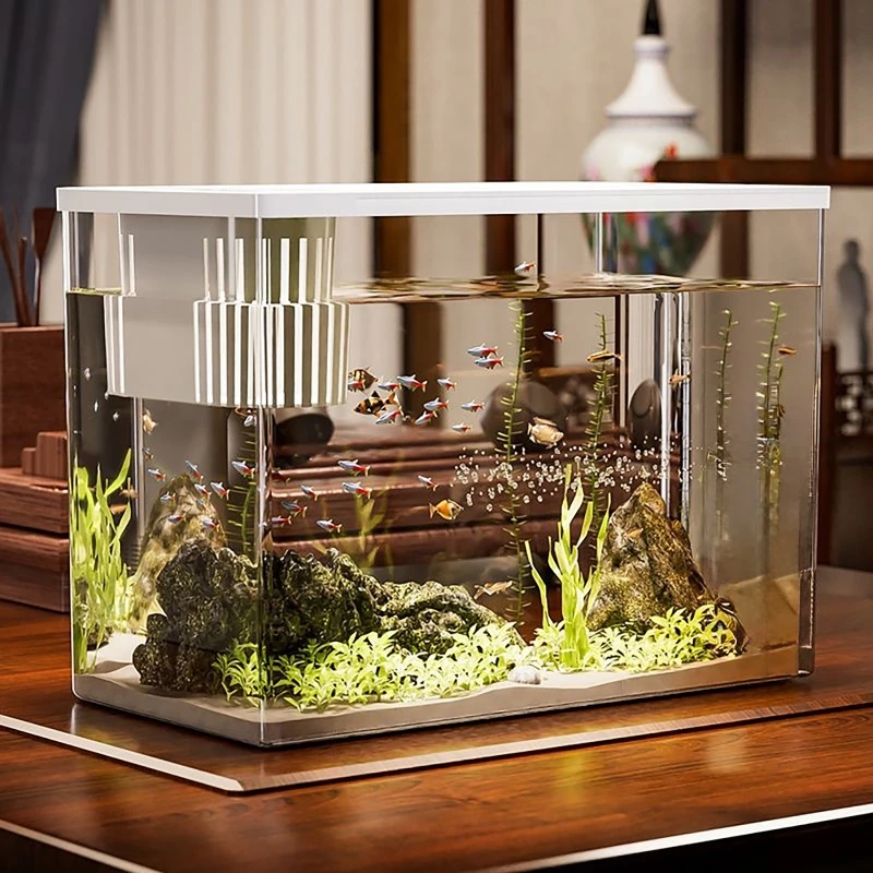 Acquario PET + ABS Nuovo trasp - Aquarium Fish For Beginners recensione e prezzo