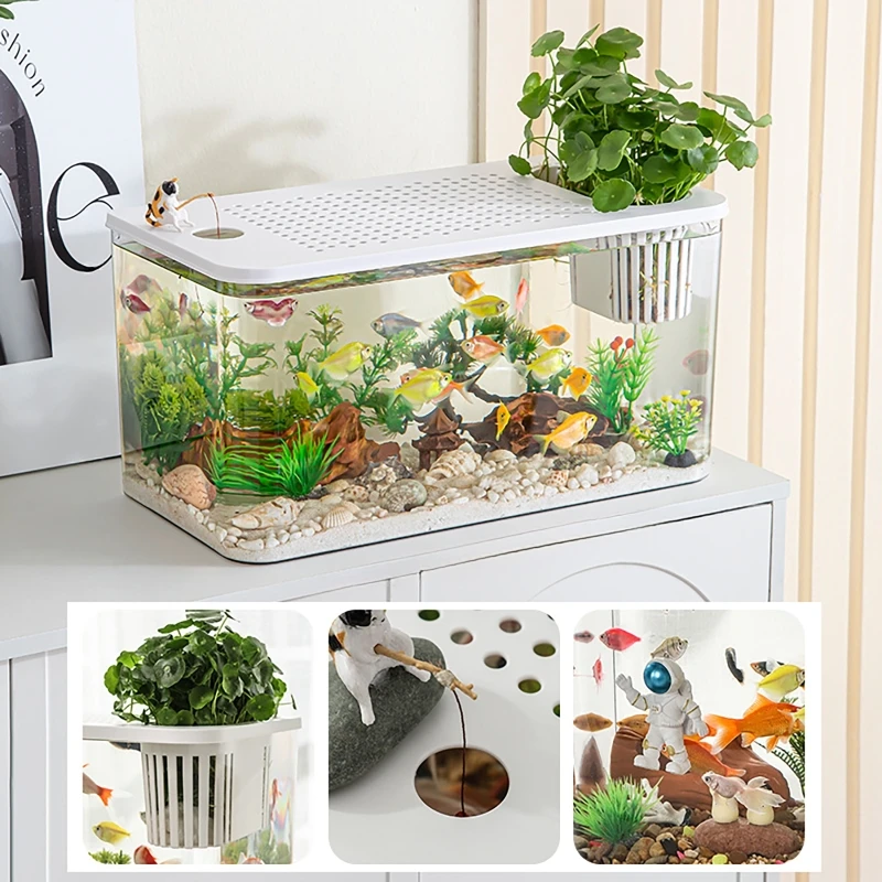 Acquario PET + ABS Nuovo trasp - Aquarium Fish For Beginners recensione e prezzo
