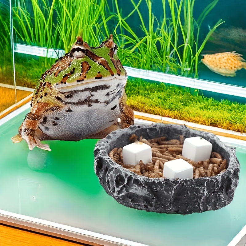6 pezzi acquario calcio blocco - Aquarium Fish Games recensione e prezzo